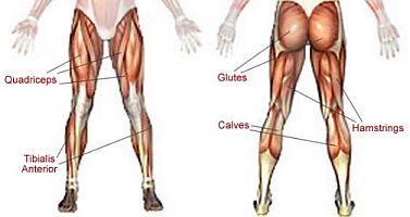 Everything You Need To Know About Knee Pain - Sheffield ...