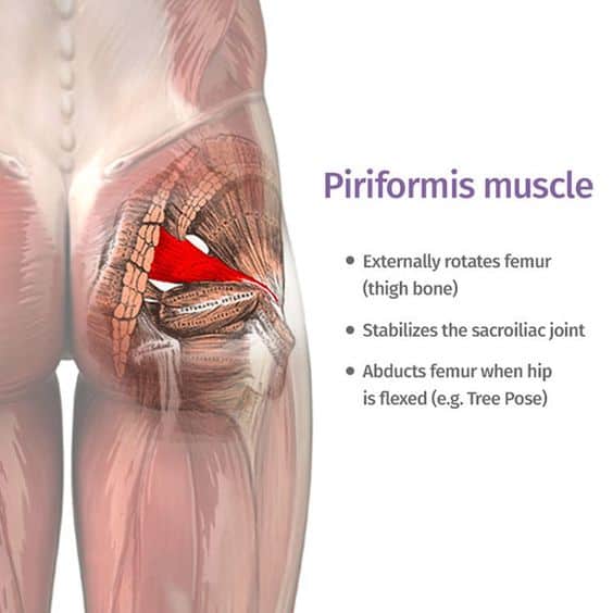 can micardis cause muscle pain